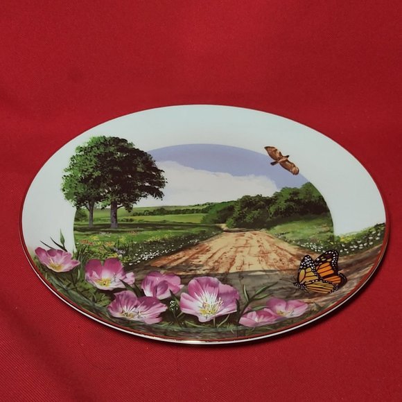 VTG Decorative Plate Royal Windsor Buttercup Wildflowers of the South Gold Trim - Picture 6 of 12
